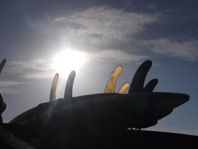 camping trip, jan 2013