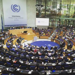 1908094_10153445699153793_547838948022283039_n